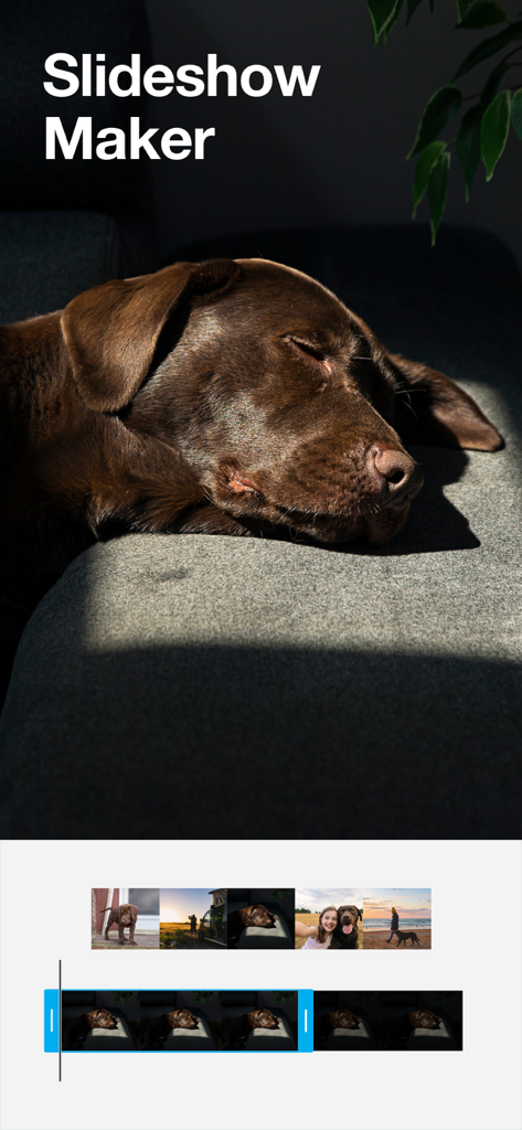 Vimeo Create app interface showing the slideshow maker feature with a video editing timeline and photos