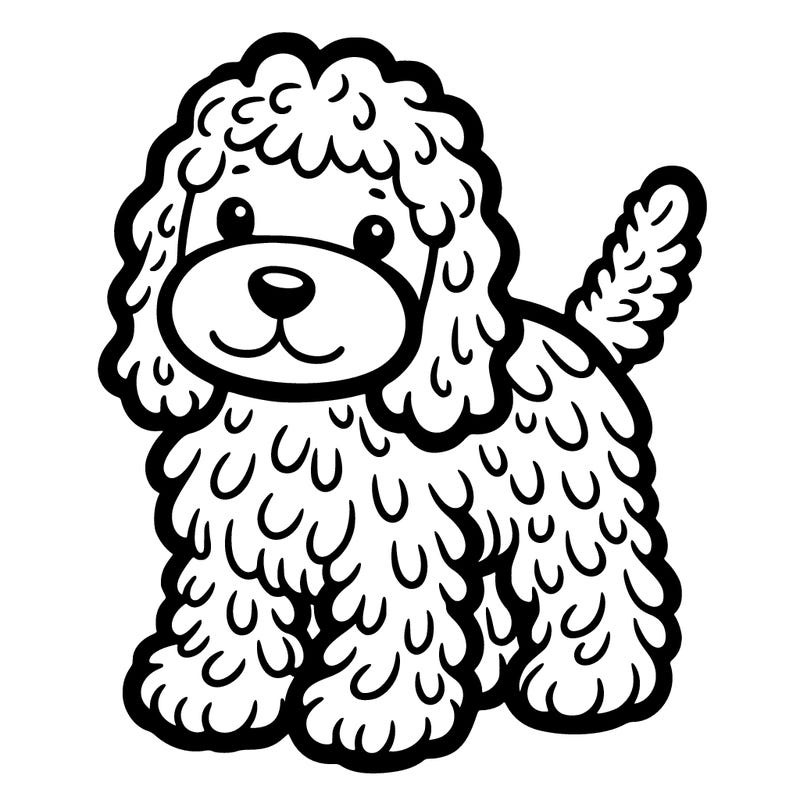 cockapoo