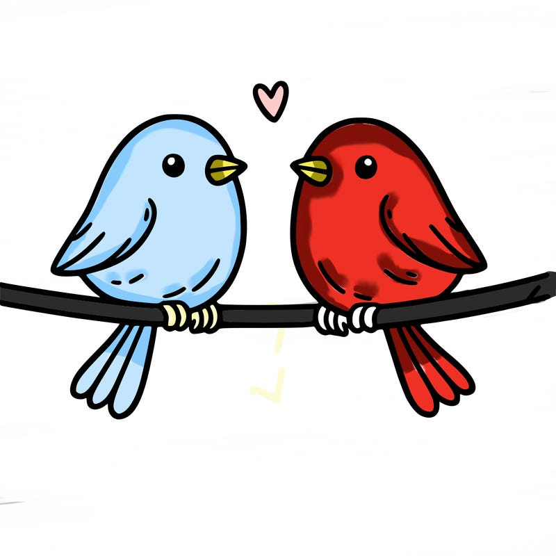 two birds on a wire