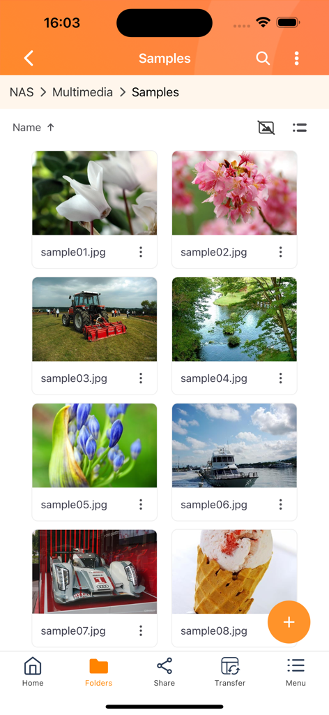 Qfile Pro - App mobile Qfile Pro che mostra una cartella di foto archiviate su un QNAP NAS