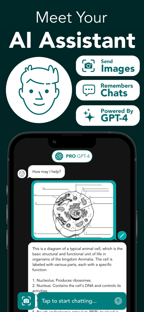 StudyAI - Web & Photo AI Tutor - StudyAI mobile app interface analyzing an animal cell diagram with a detailed text explanation.