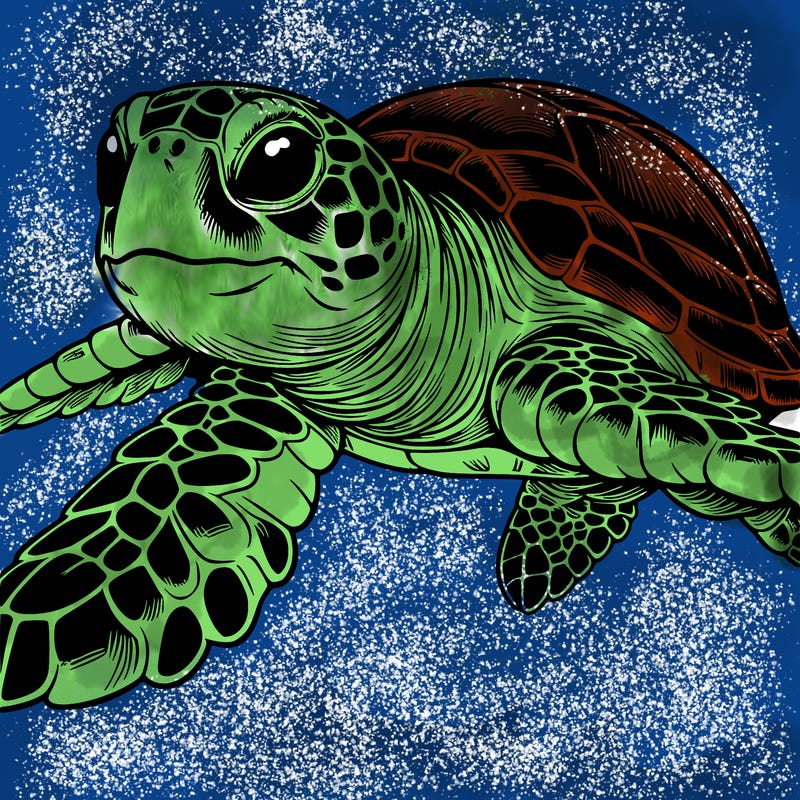 realistic sea turtle