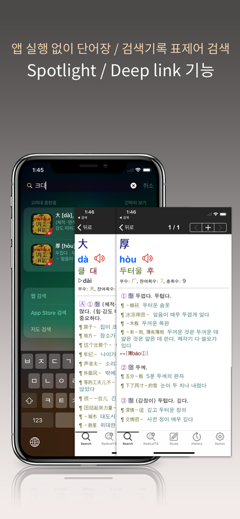 Interface de l'application Dictionnaire chinois-coréen de l'Université de Corée affichant les entrées de mots et l'intégration de la recherche iOS.