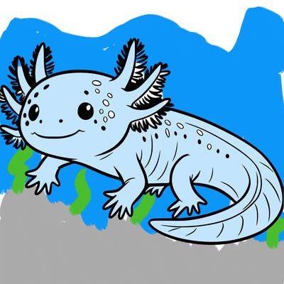 axolotl