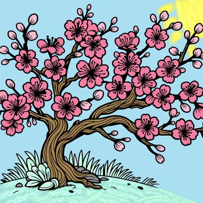 cherry blossom tree