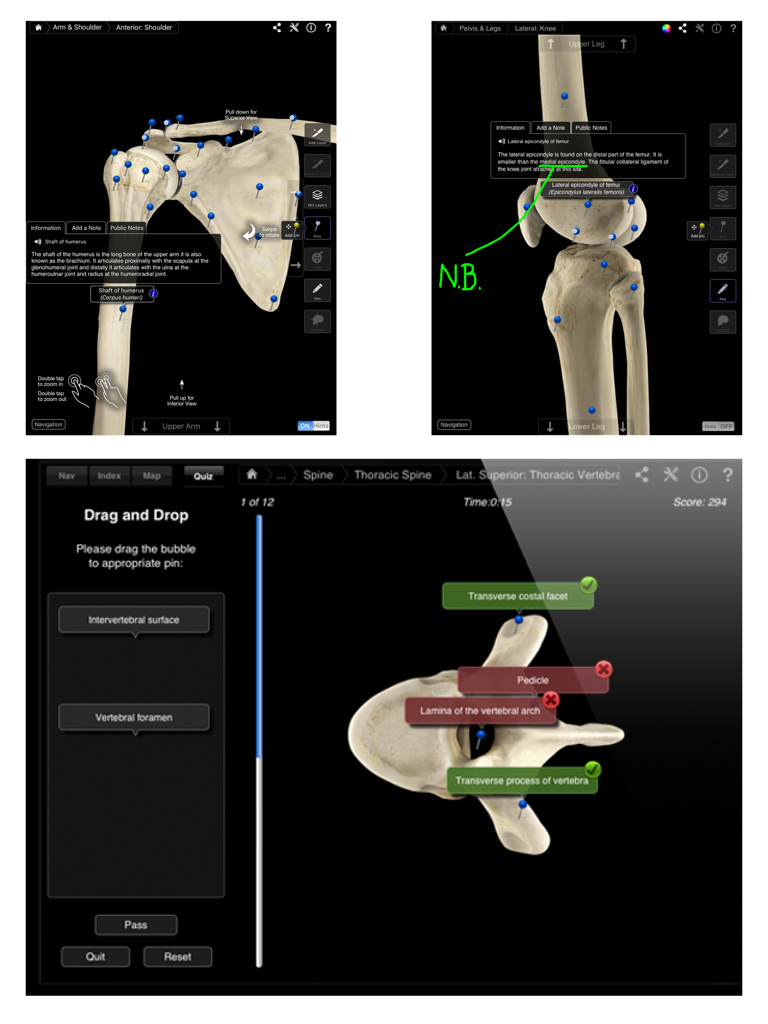 Interface of the Skeleton System Pro III app showing detailed 3D models of a shoulder, knee with notes, and an interactive thoracic vertebra quiz.