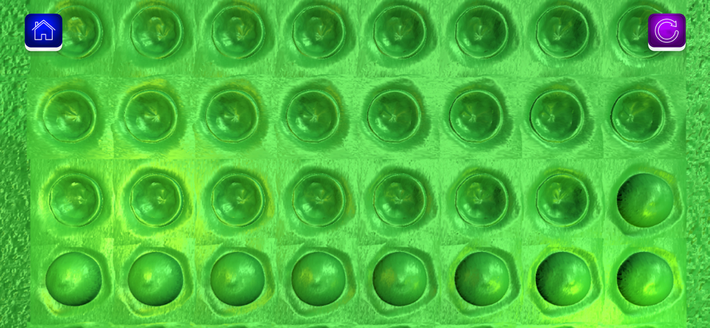 Fidget Slime Kit! Sensory Play - A grid of green circular pop-it fidget toy bubbles for sensory play