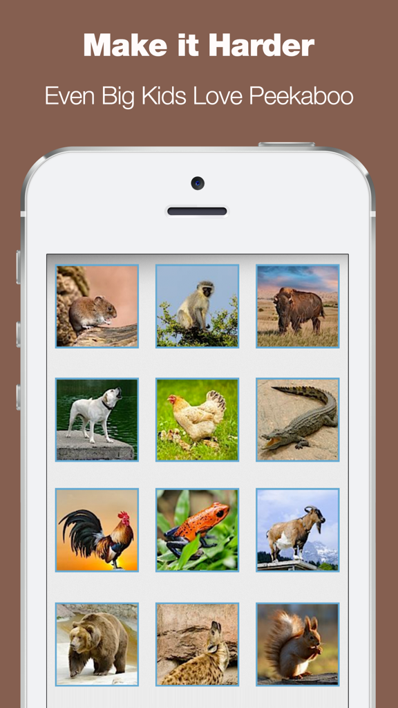 A grid of twelve real animal photographs on a smartphone screen showing a more challenging game level for toddlers