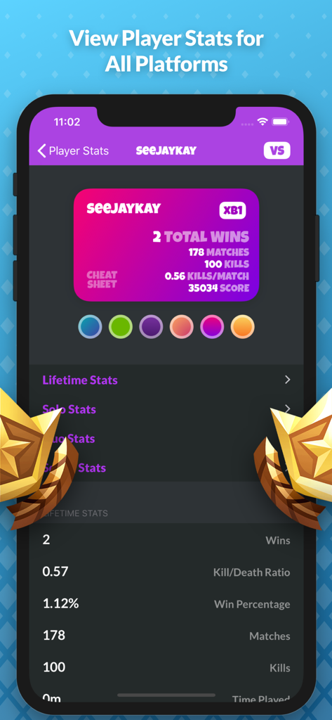 Fortnite player statistics screen showing total wins and kill death ratio.