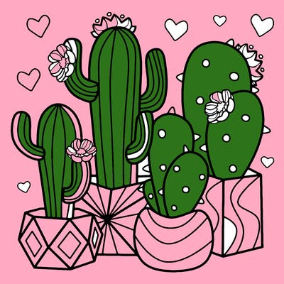 flowers_24_new