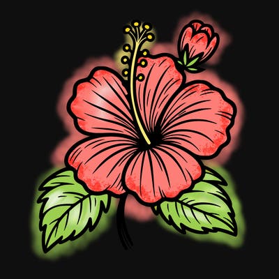 hibiscus flower