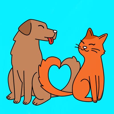 animals_22