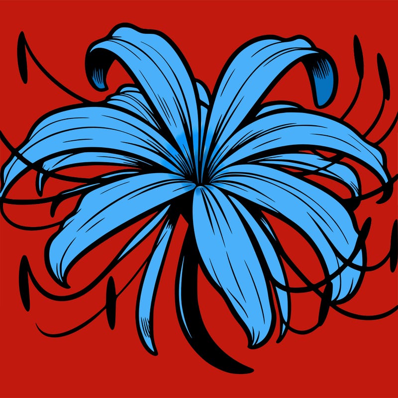 spiderlilly flower