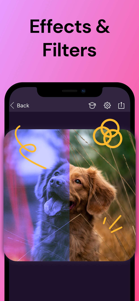 Smartphone screen demonstrating photo effects and filters on a picture of a dog in the Pixomatic app
