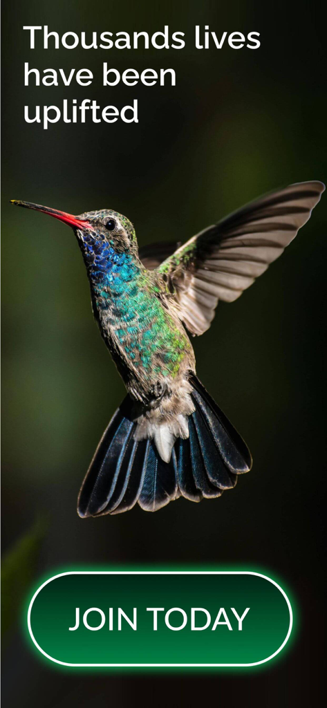 Um beija-flor colorido em voo com o texto Milhares de vidas foram elevadas e um botão Junte-se hoje.