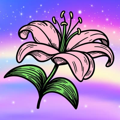 lily