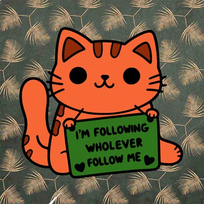 cat with a sign that says i’m following whoever follows me