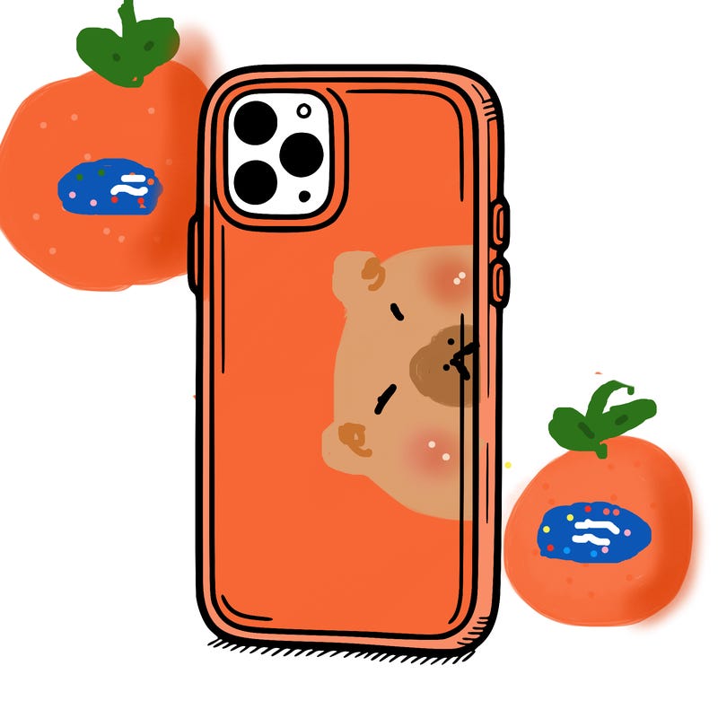 phone case