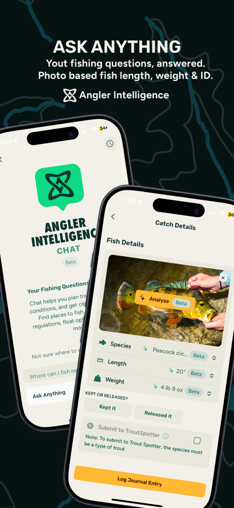 onWater app Angler Intelligence feature showing AI fish species identification and catch analysis