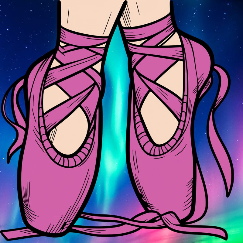 ballet shoes