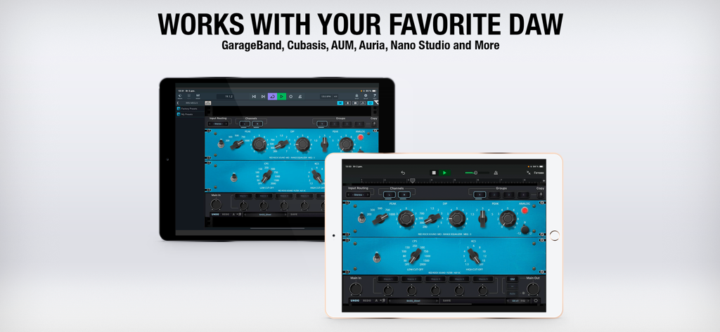 RRS MEQ-5 - RRS MEQ-5 audio plugin interface on iPads illustrating compatibility with mobile DAWs like GarageBand and Cubasis.