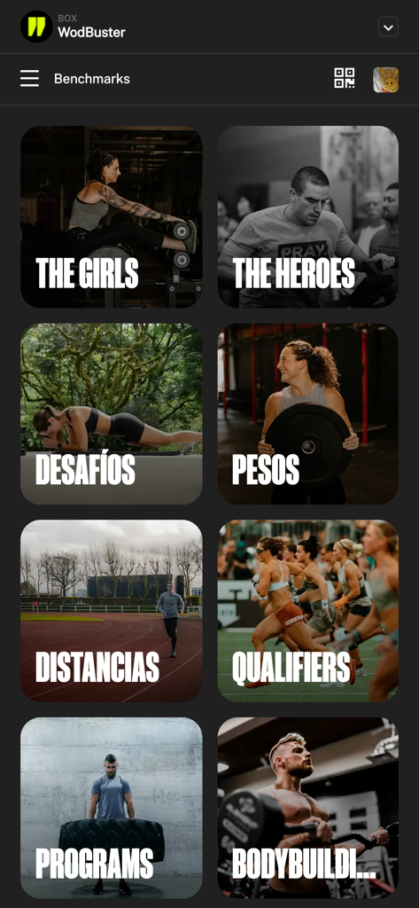 WodBuster - WodBuster app screen showing workout benchmark categories like The Girls and The Heroes for functional fitness tracking.