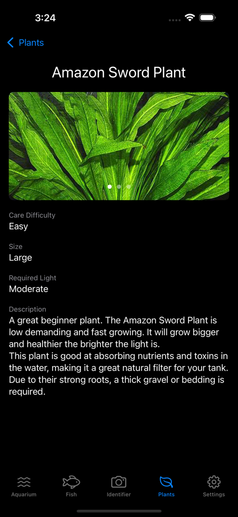 Aquarium Guide Fish Identifier - Care guide for Amazon Sword plant in the Aquarium Guide app showing difficulty and lighting requirements