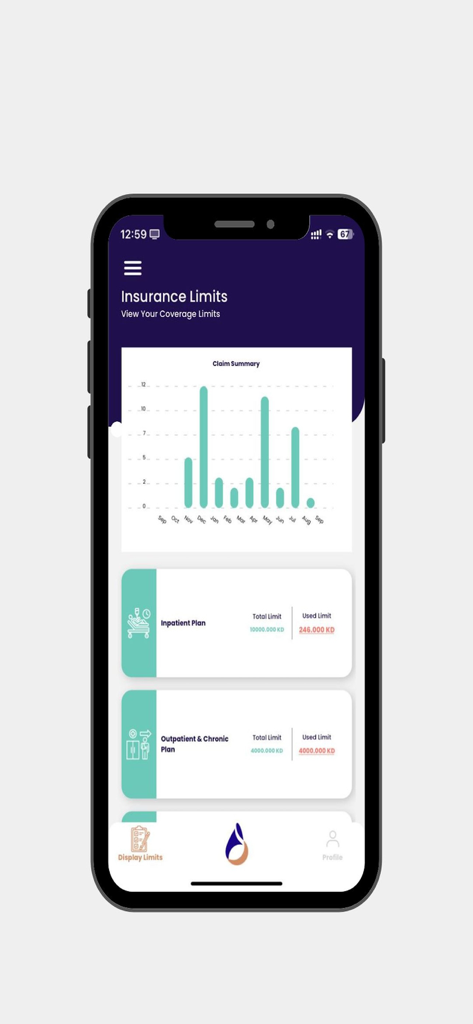 gig Health - gig Health mobile app screen displaying insurance limits and claim summary chart