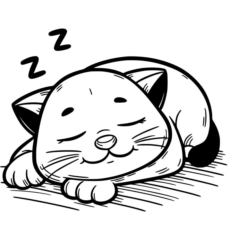 sleeping cat