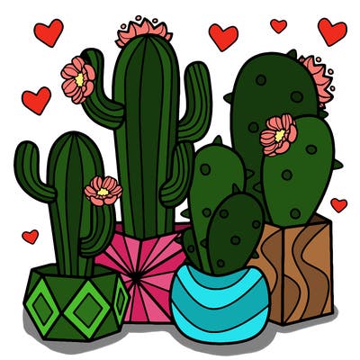 flowers_24_new