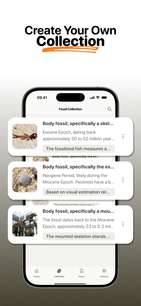 Fossil Identifier: Scan Fossil - iPhone screen showing a digital fossil collection with categorized entries for a fossilized fish shell and dinosaur skeleton