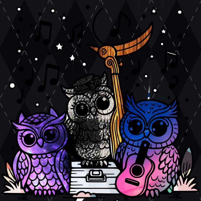 owls at a concert