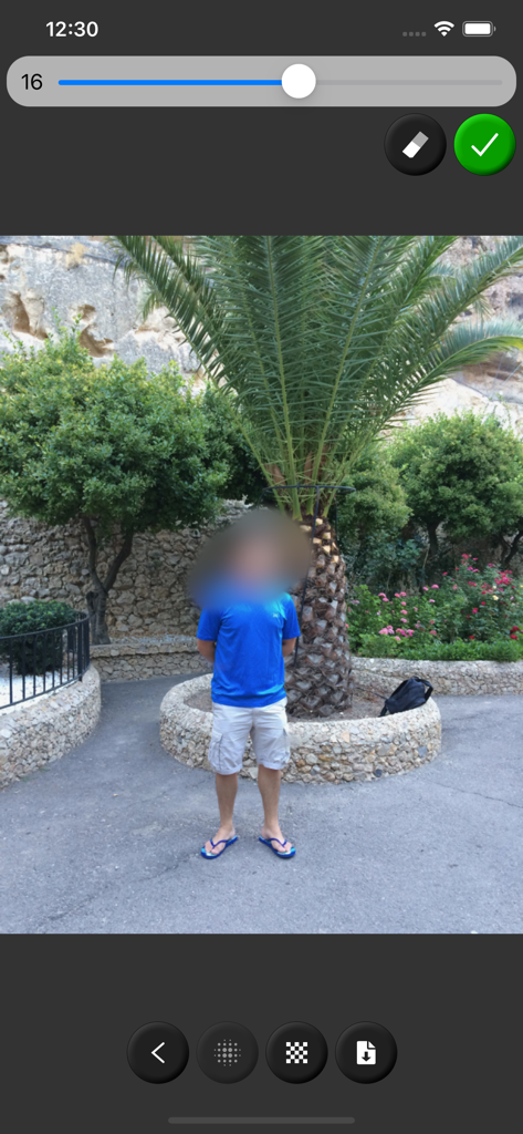Blur Image - User interface of Blur Image app showing a person's face being blurred for privacy