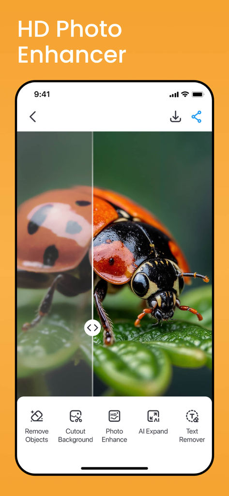 Split screen demonstration of HD Photo Enhancer feature showing a sharp ladybug