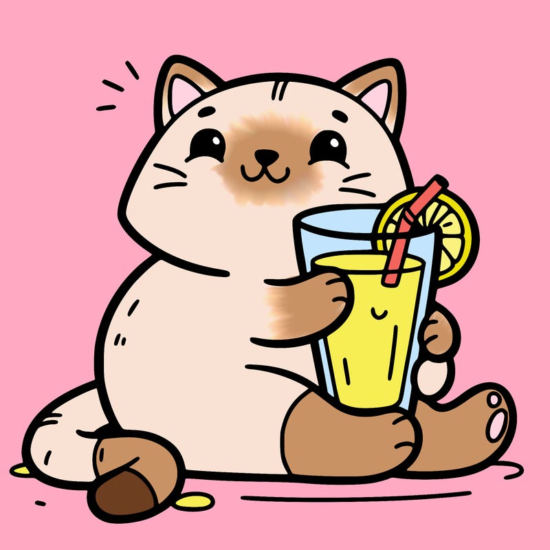 cat with orange juice