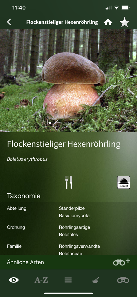 Una vista dettagliata di una specie di fungo nell'app di identificazione, inclusa la tassonomia e le informazioni sulla commestibilità