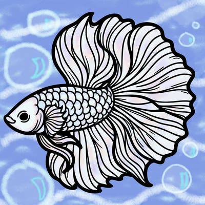 betta fish
