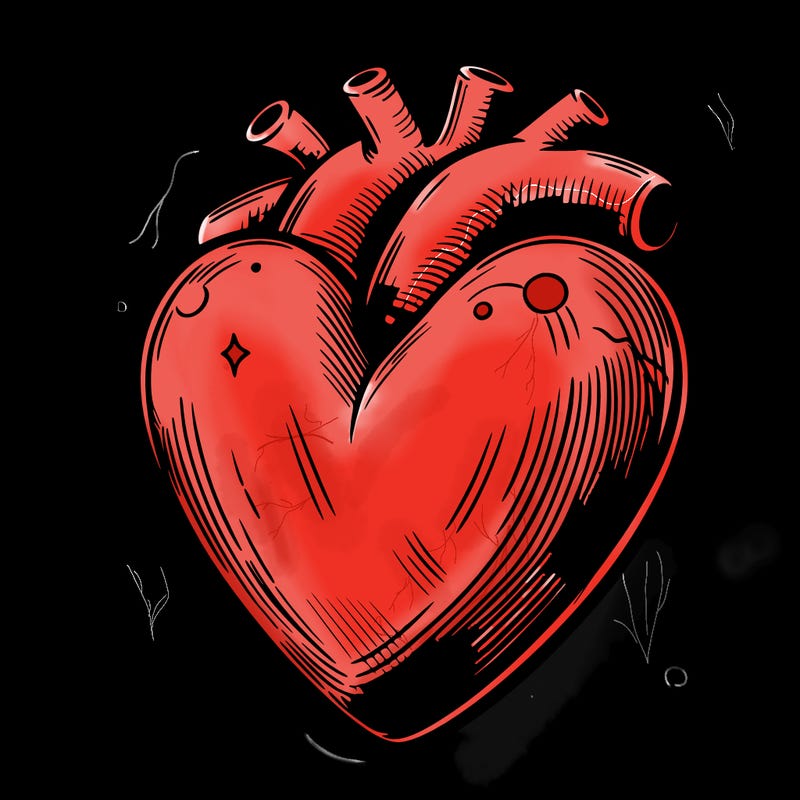realistic heart