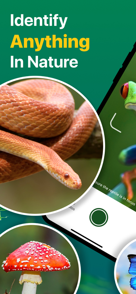 Schermata dell'app che identifica animali in natura mostrando un serpente, un fungo e una rana