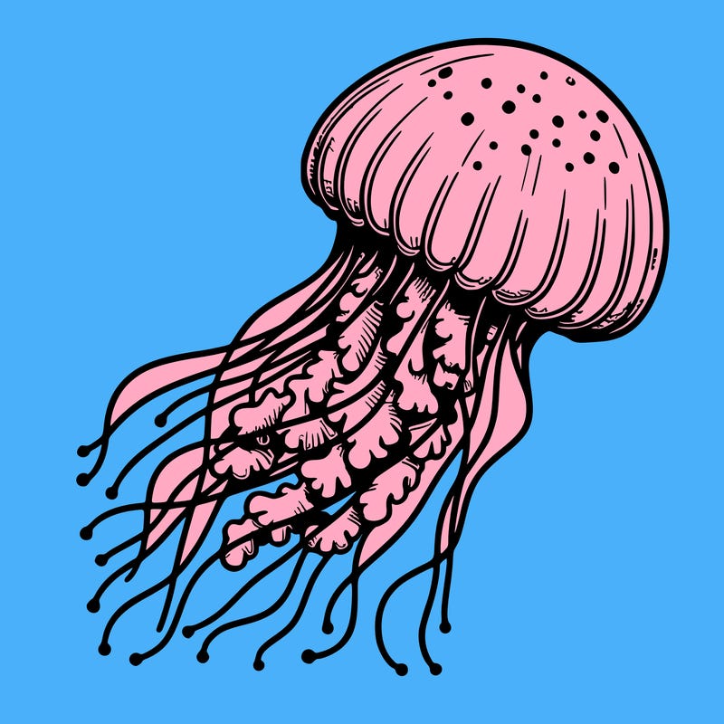 realistic jellyfish