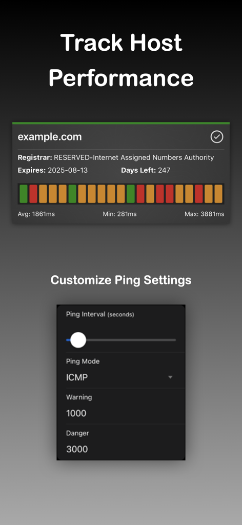 Interface de l'application DNS Time montrant le suivi des performances de l'hôte et les paramètres de personnalisation du ping