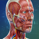 Complete Anatomy Learning 3D