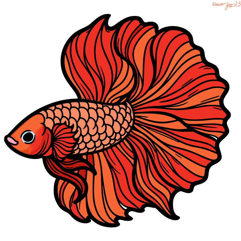 betta fish