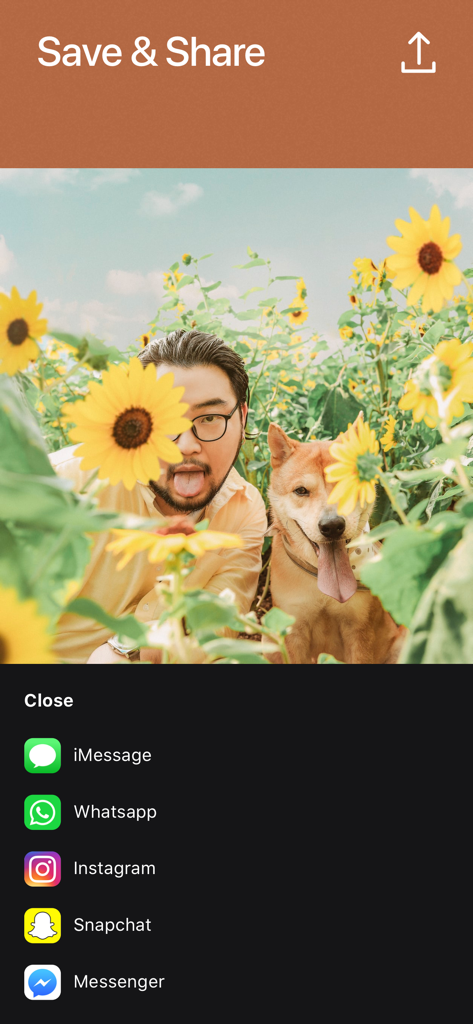 Save and share screen in the Momento app with direct links to Instagram and WhatsApp
