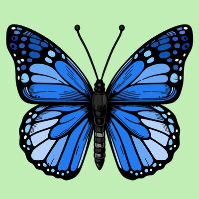realistic butterfly