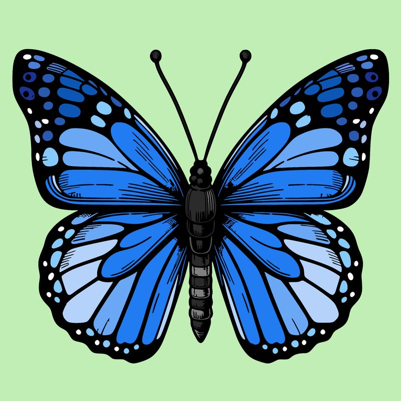 realistic butterfly