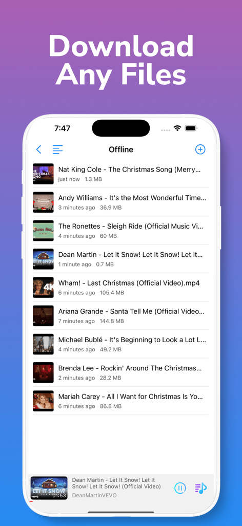 Screenshot of Offline Player app showing a list of downloaded music and video files with a playback bar.