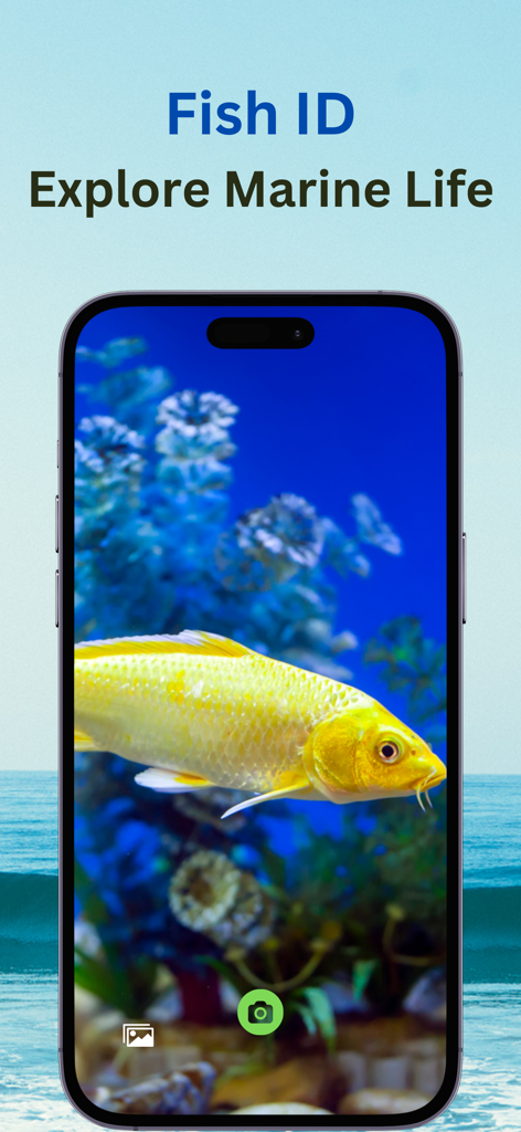 Fish Identifier : Fishverify - Smartphone interface showing the Fish ID app scanning a yellow fish