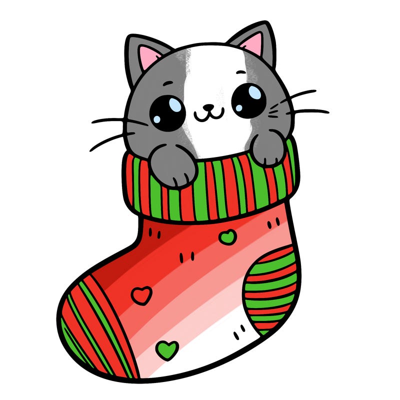 cute cat in a sock