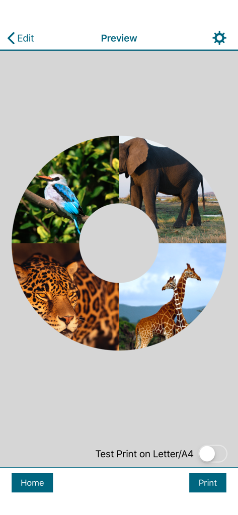 Epson Creative Print - Vista previa de etiqueta de CD circular con un collage de fotos de animales salvajes en la aplicación Epson Creative Print